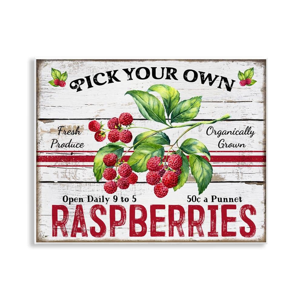 Pick Your Own Raspberries by Creatif Belle Unframed Food Graphic Art Print 11 in. x 14 in. price history on PriceWatchPro