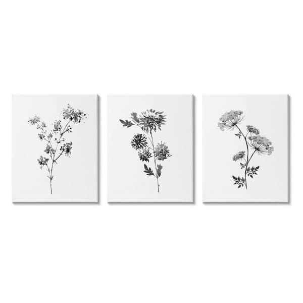 Stupell Industries "Cornflower Wildflower Watercolor Black Florals" by Conrad Knutsen 3-Piece Unframed Nature Wall Art 24 in. x 30 in.