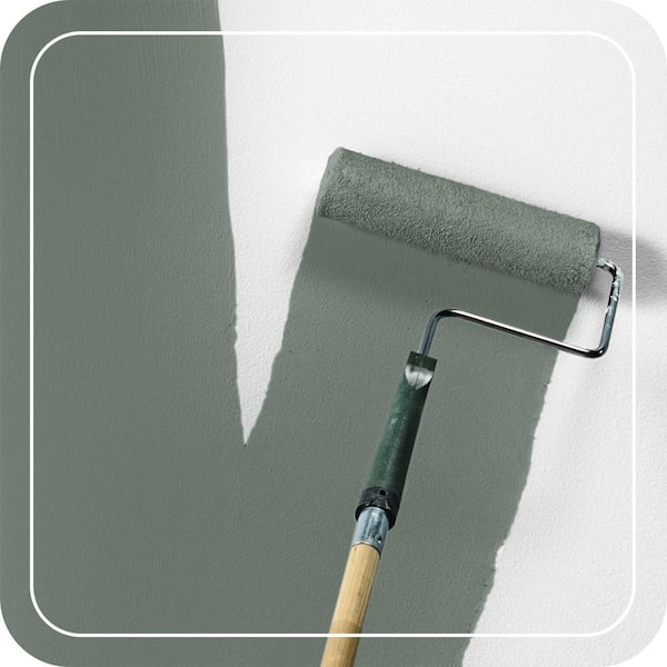 N420-5 Boreal Paint