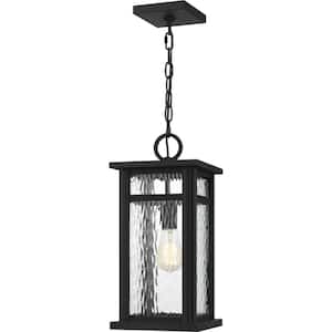 Moira 8.25 in. 1-Light Earth Black Outdoor Pendant-Light with Clear Water Glass
