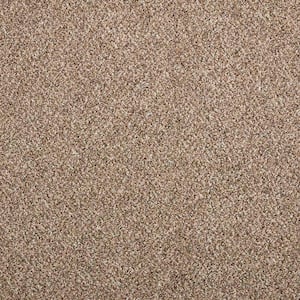 Maisie II  - Sea Oats - Beige 52 oz. Triexta Texture Installed Carpet