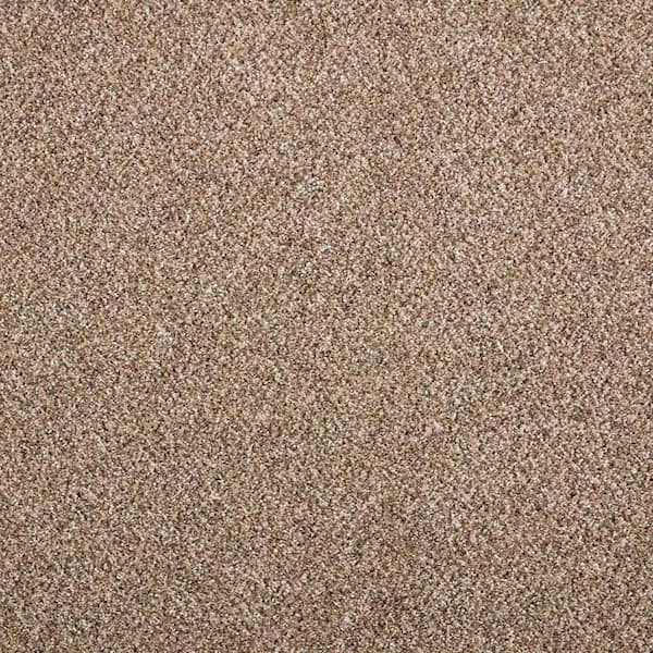 Lifeproof with Petproof Technology Maisie II  - Sea Oats - Beige 52 oz. Triexta Texture Installed Carpet