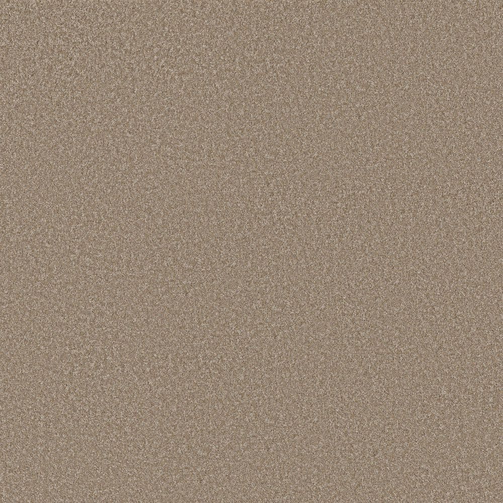 8 in. x 8 in. Texture Carpet Sample - Snug Sweets III - Color Golden Straw price history on PriceWatchPro