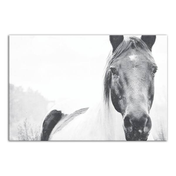 DESIGNS DIRECT 20 in. x 30 in. ''Black and White Lone Horse'' Printed Canvas Wall Art