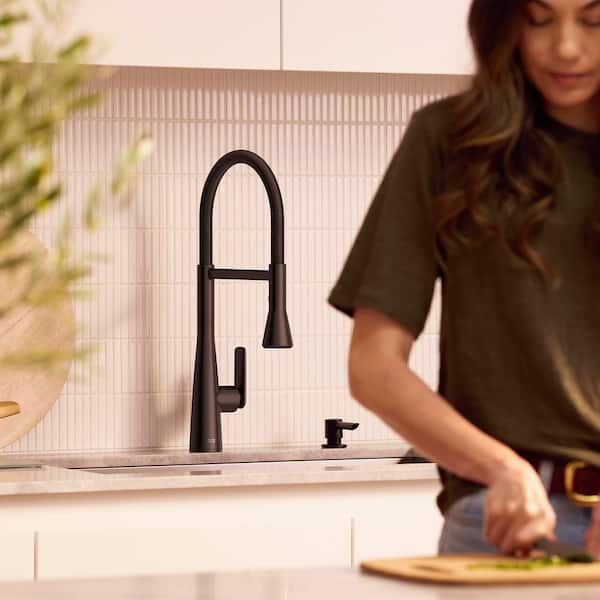 Aspirations 20 in. Semi-Pro Pull Down Sprayer Kitchen Faucet with 360° Swivel Spout in Matte Black