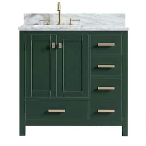 Shylah 36 in.W x 22 in.D x 35.4 in.H Free-standing Single Sink Bath Vanity in Green with Straight Marble Vanity Top