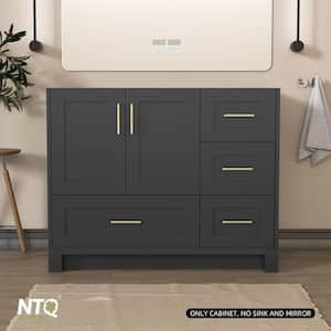 42 in. W x 21.5 in. D x 33.5 in. H Bath Vanity Cabinet without Top Solid Wood Bathroom Vanity Base in Dark Gray