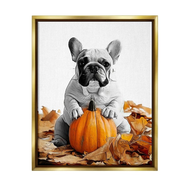Stupell Industries Puppy with Fall Pumpkin by Annalisa Latella 1-Piece Floater Frame Graphic Print Animal Poster Art Print 21 in. x 17 in.