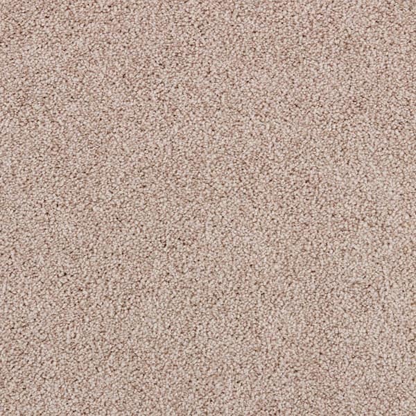 Playful Moments II Harmony Brown 49 oz Triexta Texture Installed Carpet