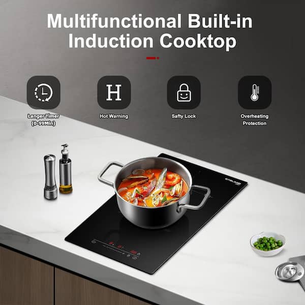 2 elements Induction Cooktops at
