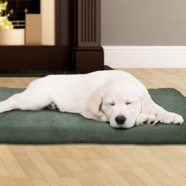 Orthopedic Shredded Memory Foam Dog Bed Pillow for Medium to Large