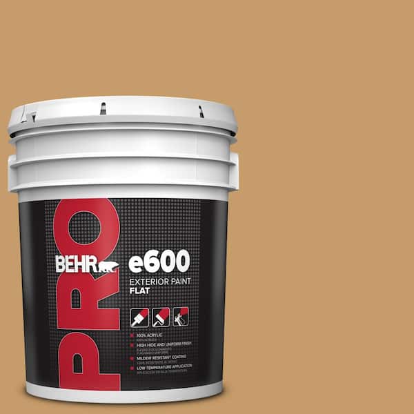 5 gal. #S290-5 Amber Autumn Flat Exterior Paint