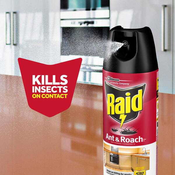 Raid Ant & Roach Killer Spray, Fragrance-Free, 17.5 Fl Oz – 2 Pack – Indoor & Outdoor Bug Spray