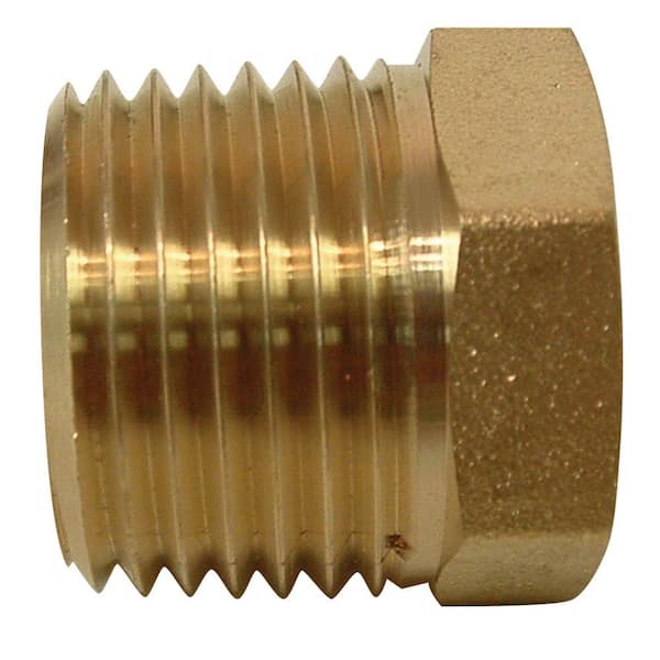 Watts 1/2 in. x 3/8 in. Brass FPT x MPT Pipe Bushing-AC-828 - The Home