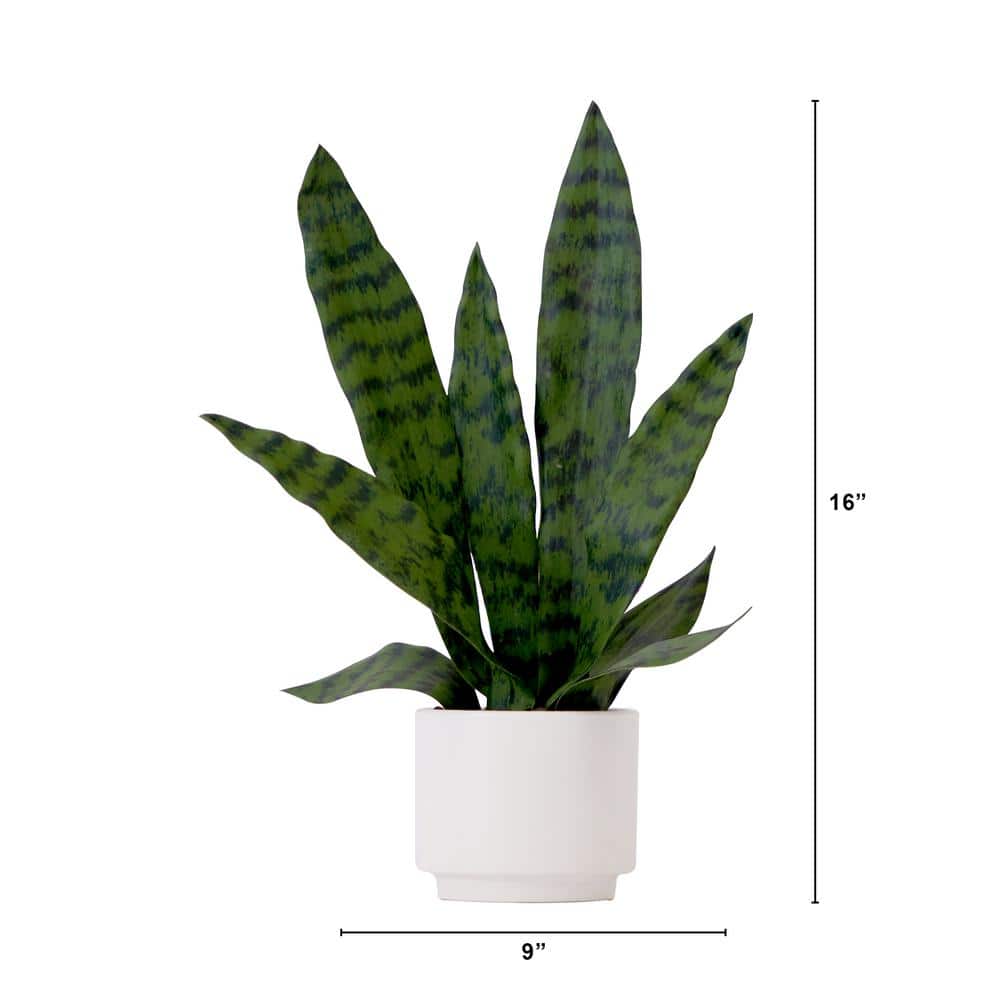 Modern Green Plastic Snake Plant in White Pot