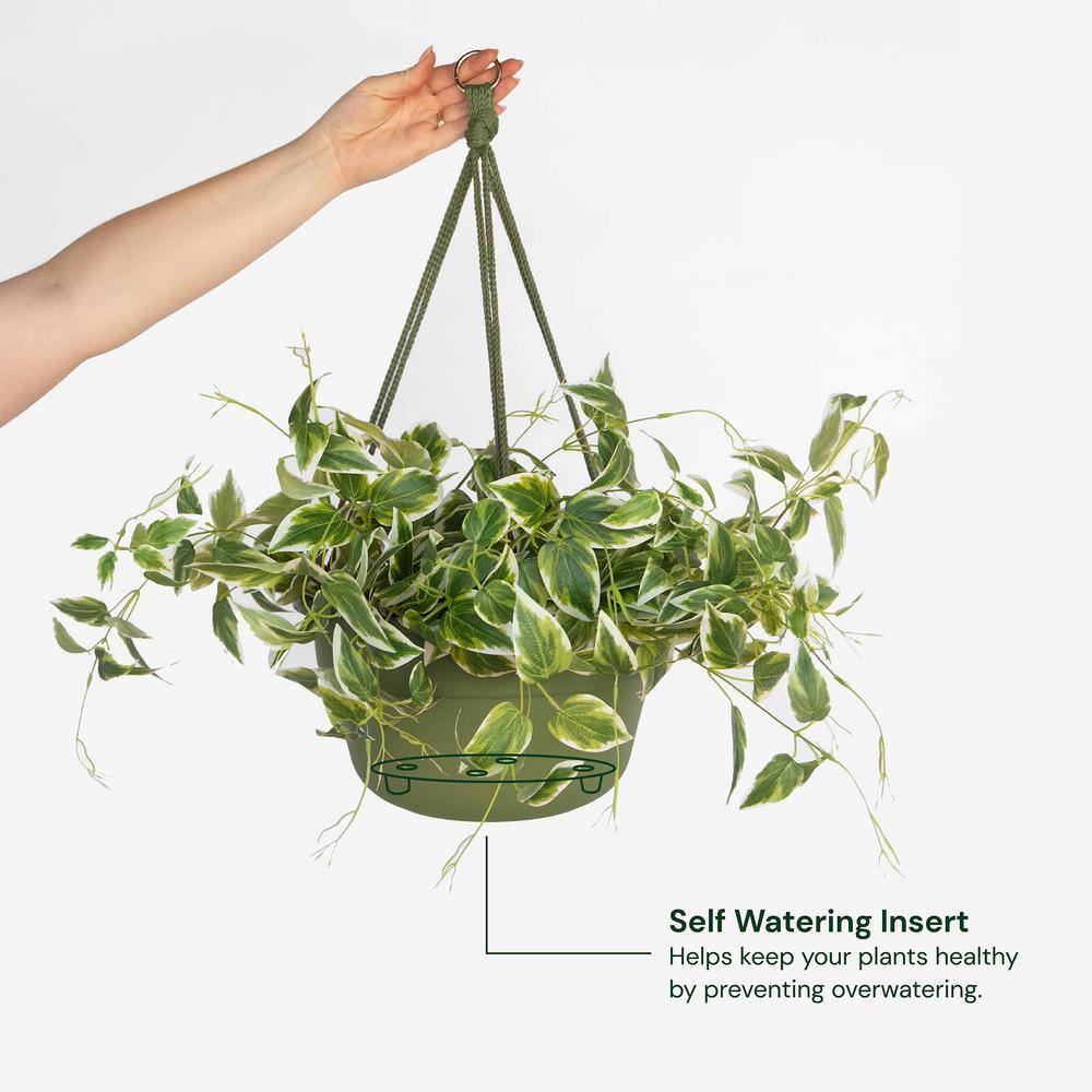 Living Green 12.5" Round Plastic Hanging Basket Planter