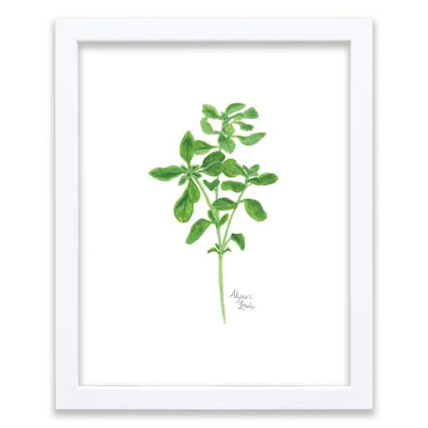 Unbranded Nature's Lace 2 "Oregano" by Alyssa Lewis Individual White Framed Nature Art Print 20 in. x 16 in.