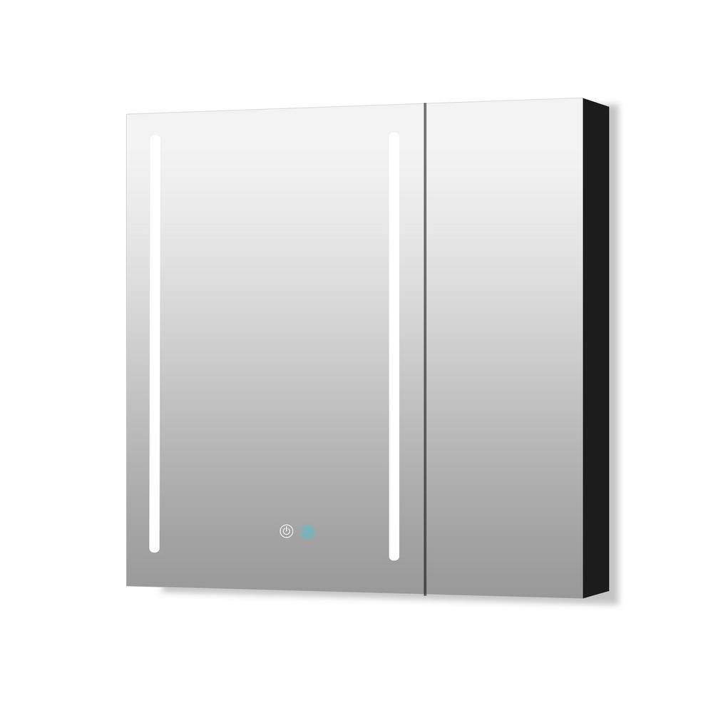 30 in. W x 30 in. H Rectangular Black Aluminum Surface Mount 2Doors