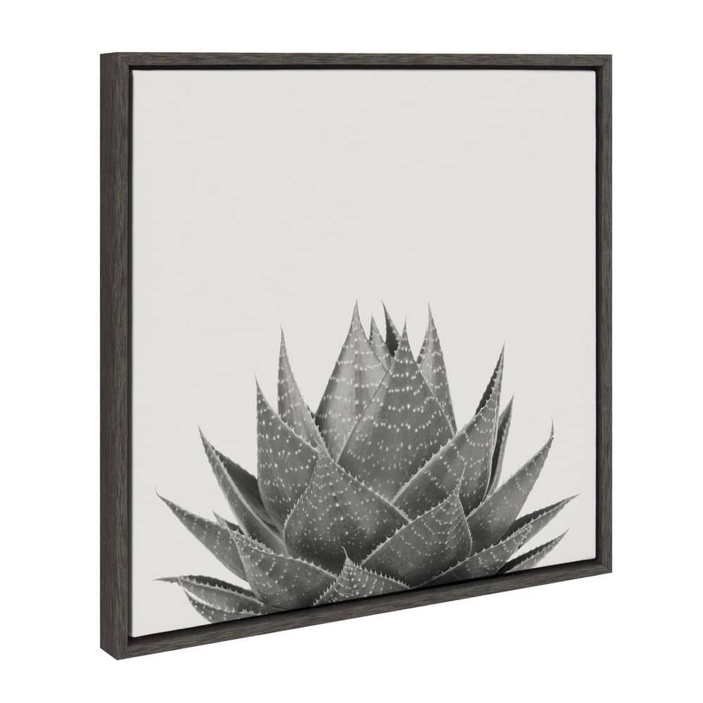 22" Gray Framed Aloe Succulent Canvas Print
