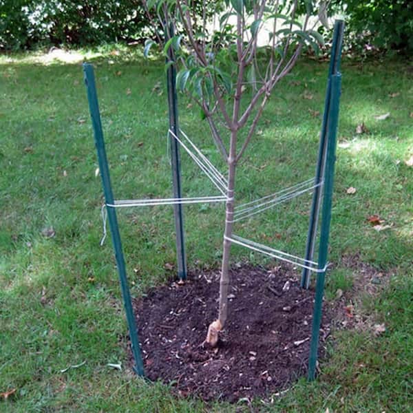 1-1/4 in. x 3/4 in. x 3 ft. 14-Gauge Green Steel U-Fence Post with Anchor Plate