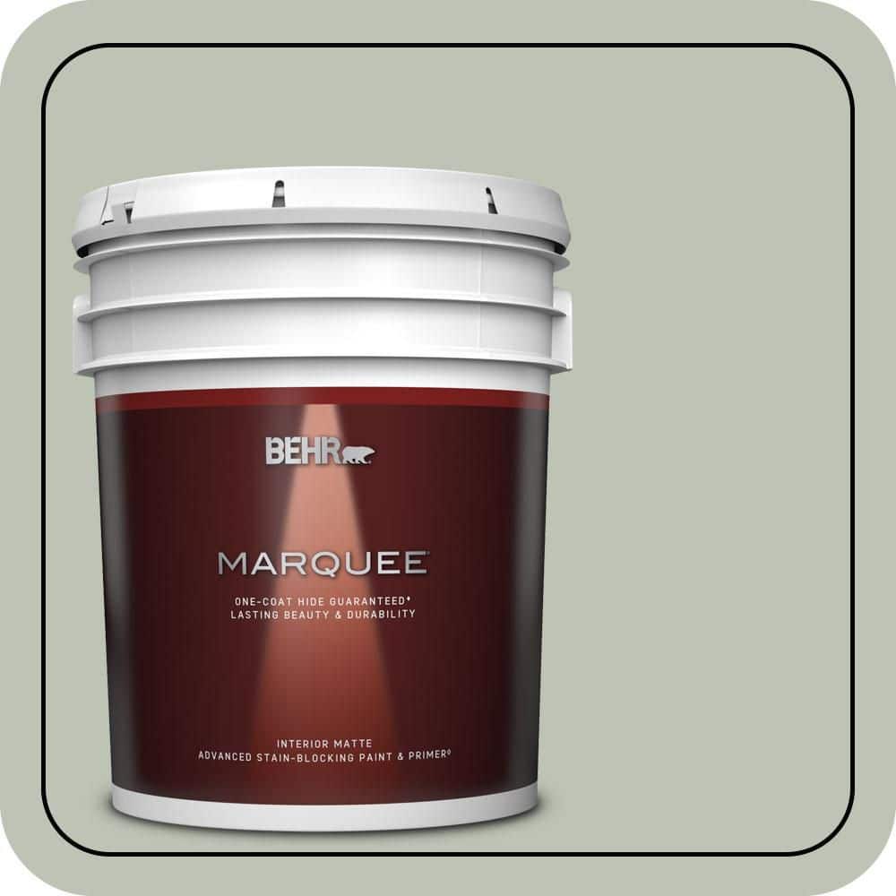 5 gal. #PPU11-11 Summer Green One-Coat Hide Matte Interior Paint & Primer price history on PriceWatchPro