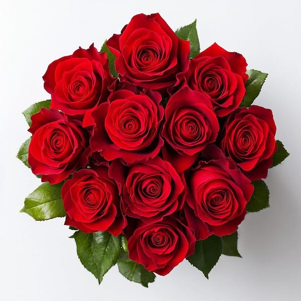 12 Stems Fresh Cut Red Roses (1-Dozen)