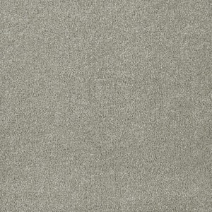 Chastain I - Riley - Gray 40 oz. SD Polyester Texture Installed Carpet