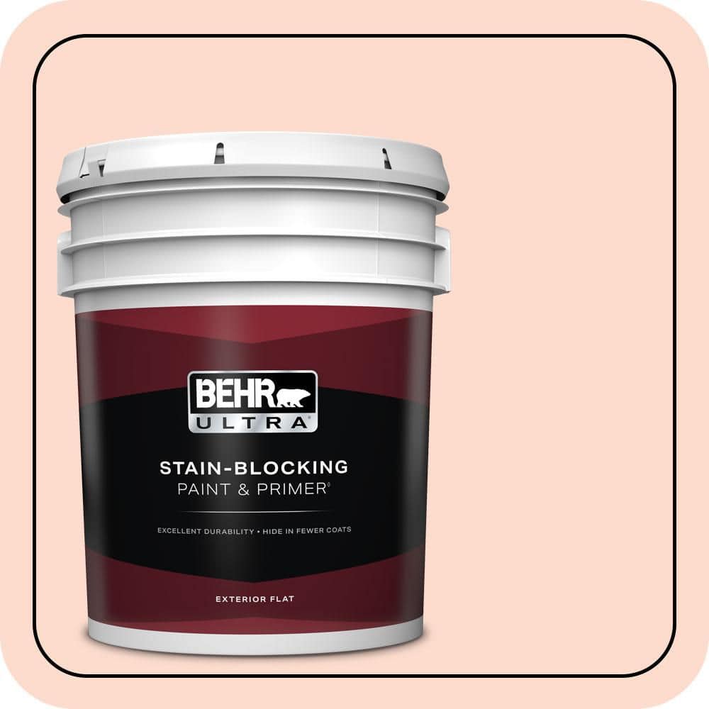 5 gal. #220C-2 Peachtree Flat Exterior Paint & Primer price history on PriceWatchPro