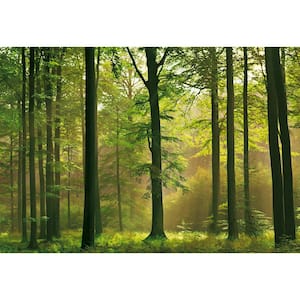 100 in. x 144 in. Autumn Forest Wall Mural