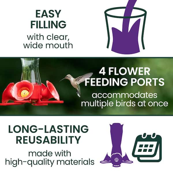 Clear Pinch Waist Glass Hummingbird Feeder - 8 oz. Capacity