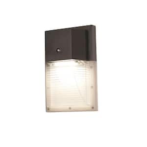 LED Security 1-Light Black Outdoor Wall Sconce