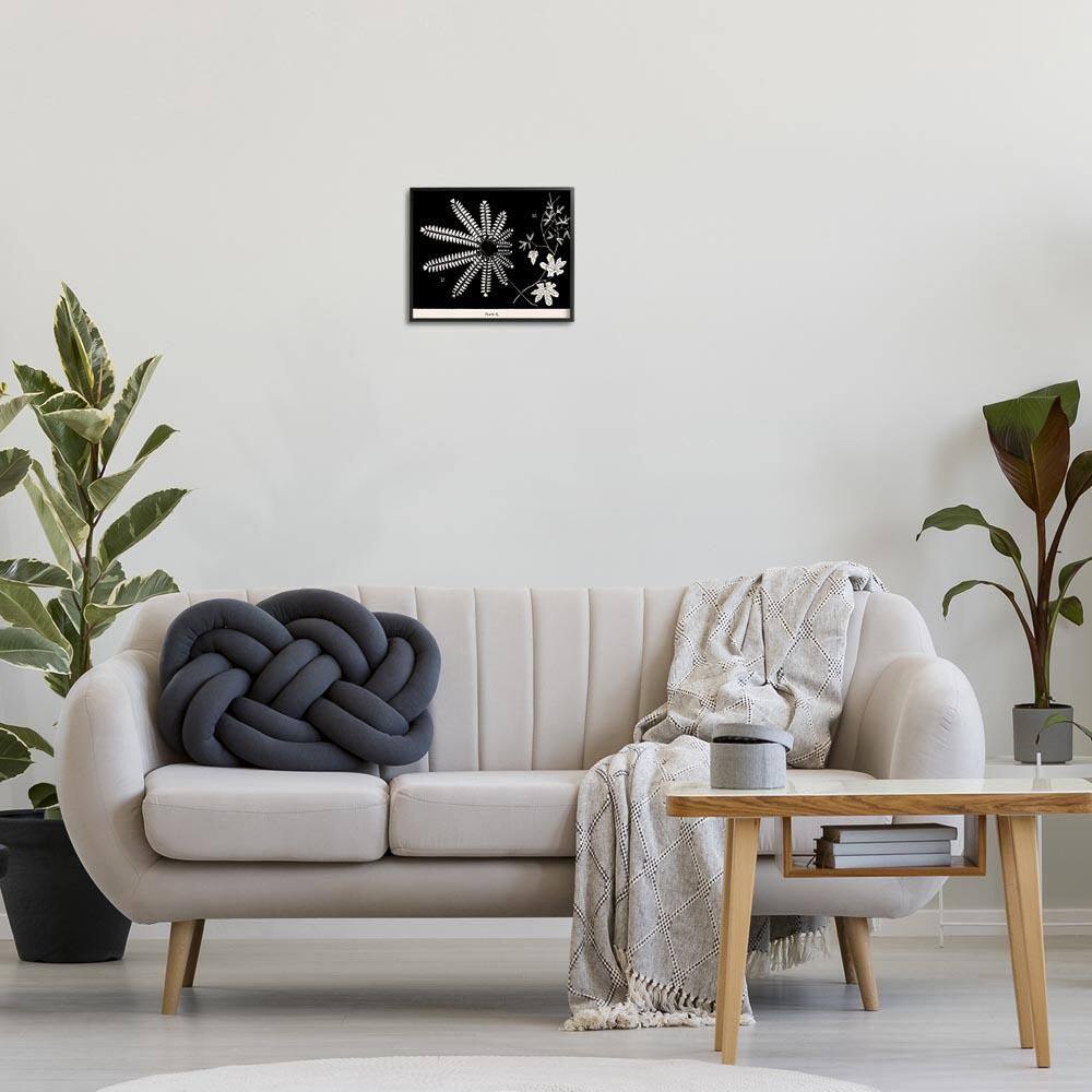 Ferns & Leaves on Black by Phillipa Katz Black Framed Nature Giclee Art Print 11 in. x 14 in. price history on PriceWatchPro