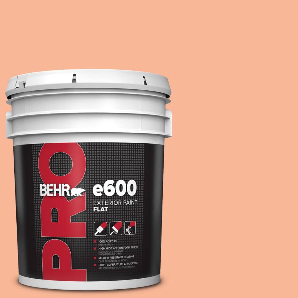 BEHR PRO 5 gal. P1903 Melon Sorbet Flat Exterior Paint PR61005 The