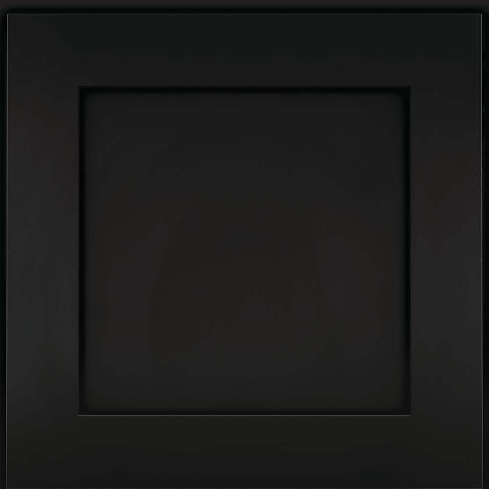 14-5/8 in. x 14-5/8 in. Cabinet Door Sample in Onyx price history on PriceWatchPro