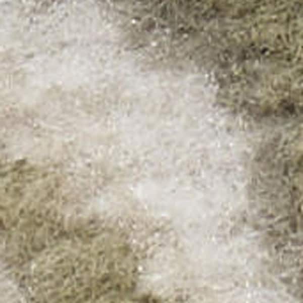 2 ft. x 8 ft. White Medallion Washable Area Rug