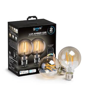 60-Watt Equivalent Amber G25 Dimmable Smart Edison Wi-Fi LED Light Bulb White (2-Pack)