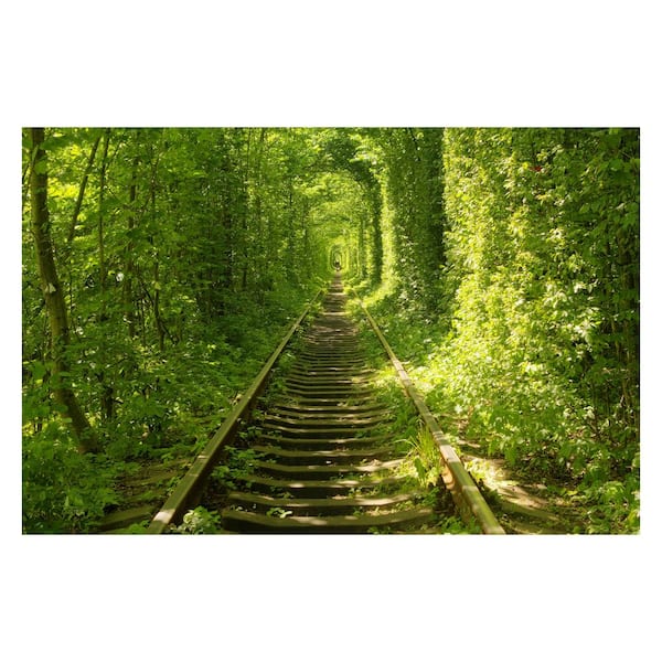 Yosemite Home Decor Tunnel Of Love Wall Art