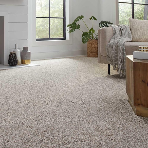 Best Carpet for Pets - The Home Depot