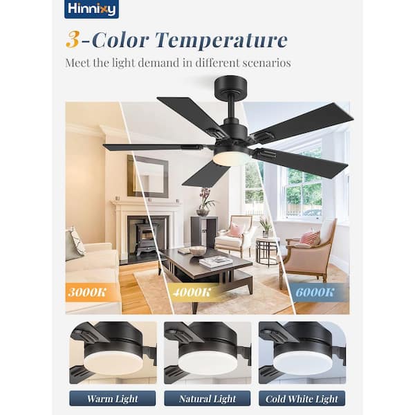 2-Pack 42 in. Black Dowrod Mount Outdoor Ceingling Fan with Light Kit and Remote/Switch Included, 3CCT, 6 Speeds
