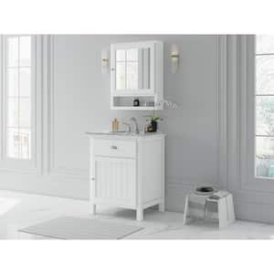 Ridgemore 28 in. W x 22 in. D x 35 in. H Single Sink Freestanding Bath Vanity in White with Gray Granite Top