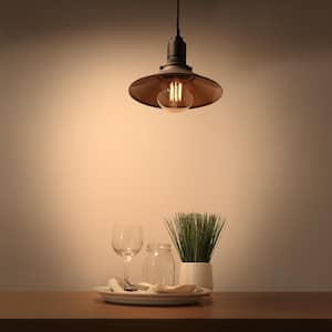 60-Watt Equivalent G30 Dimmable Cage Filament Amber Glass E26 Vintage Edison LED Light Bulb, Warm White