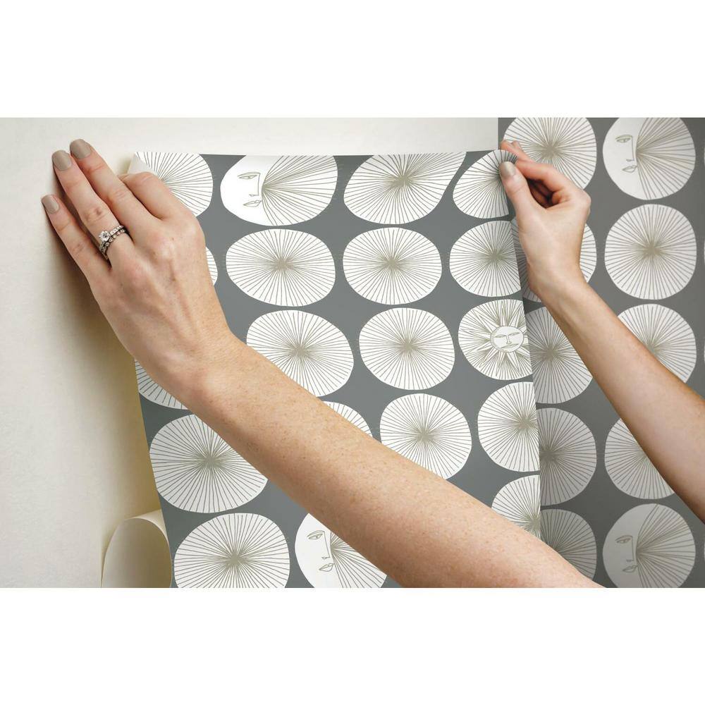 Cosmos Grey and Glint Peel and Stick Geometric Wallpaper