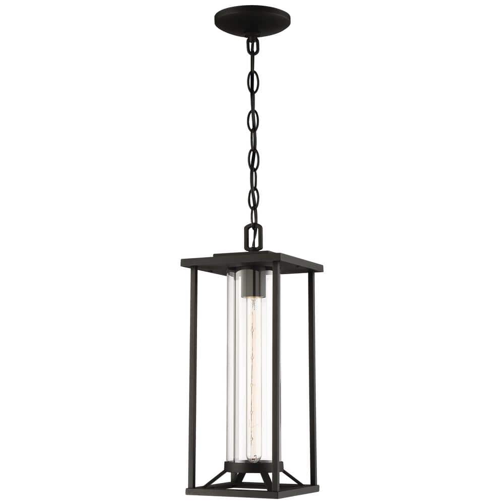Trescott Black Outdoor 1-Light Hanging Lantern price history on PriceWatchPro