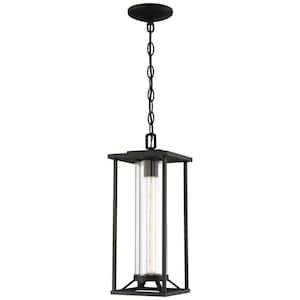Trescott Black Outdoor 1-Light Hanging Lantern