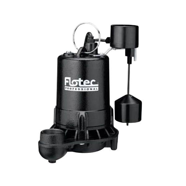 Flotec 3/4 HP Cast Iron Professional Pump