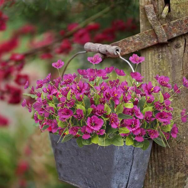11.81 in. Artificial Fuchsia Color Family Outdoor UV Resistant