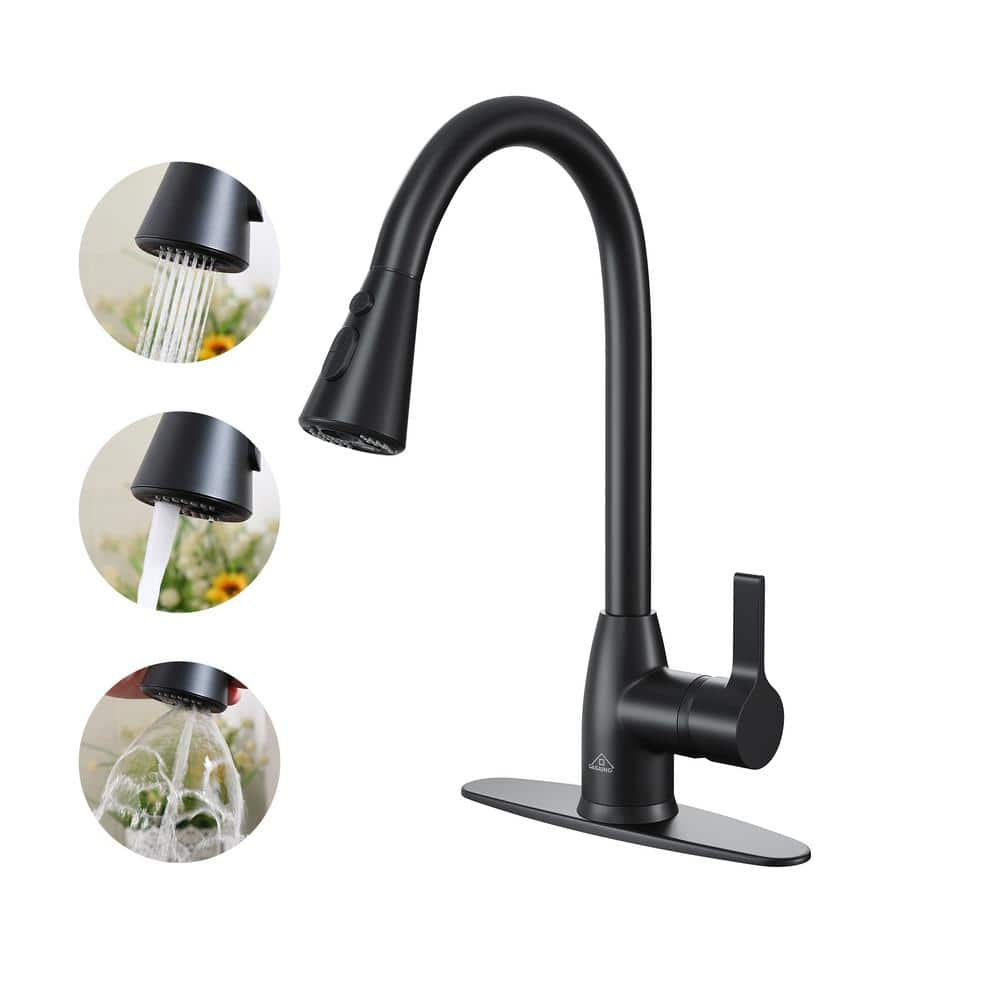 CASAINC Single Handle Pull Down Sprayer Kitchen Faucet With Three ...