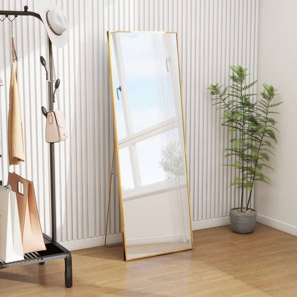 Relyblo 64 in. x 21 in. Full Length Rectangular Frame Top Bathroom