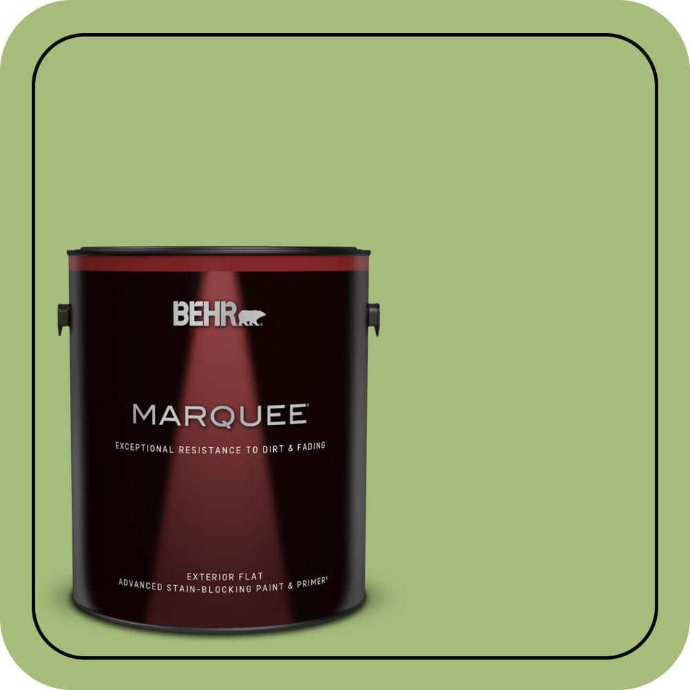 1 gal. #P370-5 Lazy Caterpillar Flat Exterior Paint & Primer price history on PriceWatchPro
