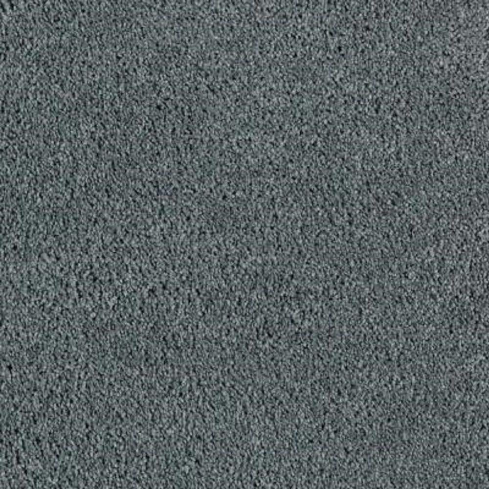 8 in. x 8 in. Texture Carpet Sample - Ambrosina II -Color Twilight price history on PriceWatchPro
